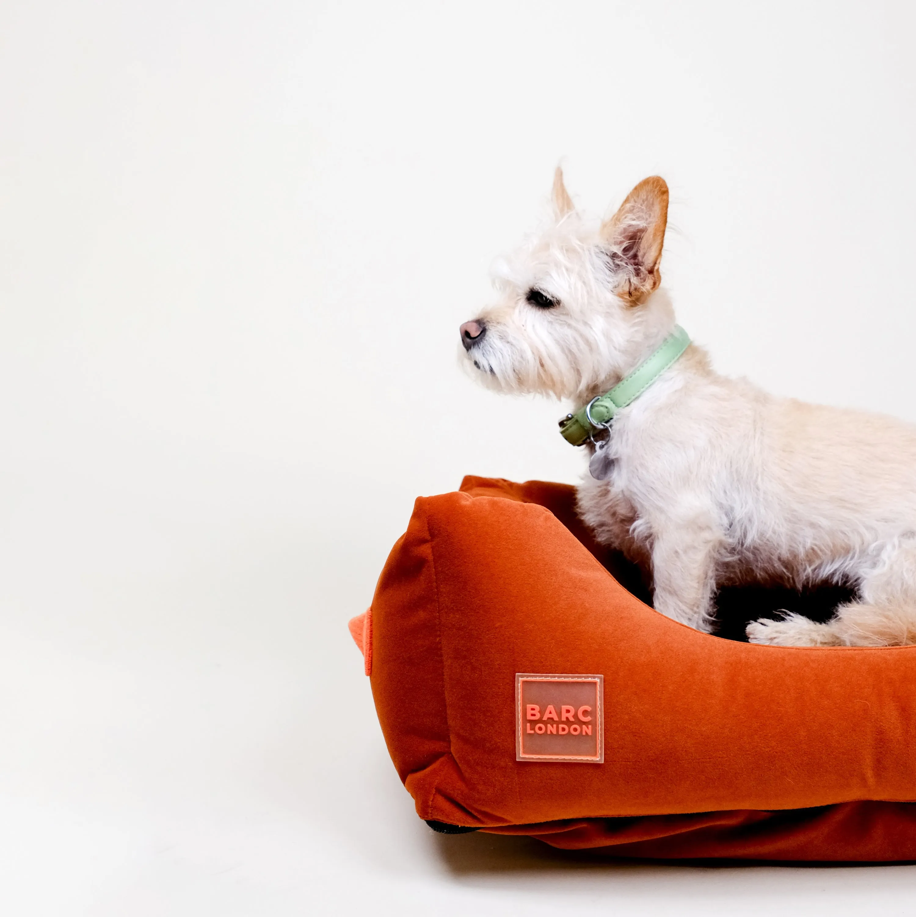 Berry Red Premium Everyday Bed