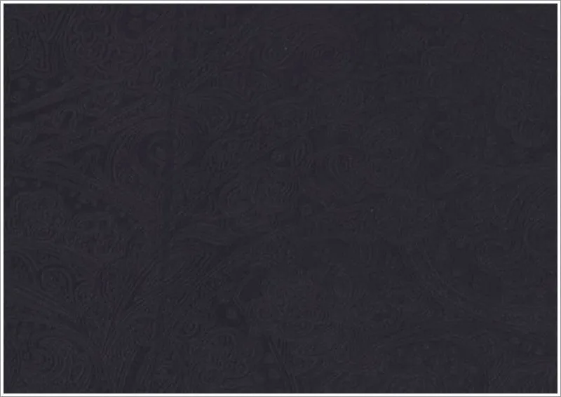 Black Paisley Velvet Vest