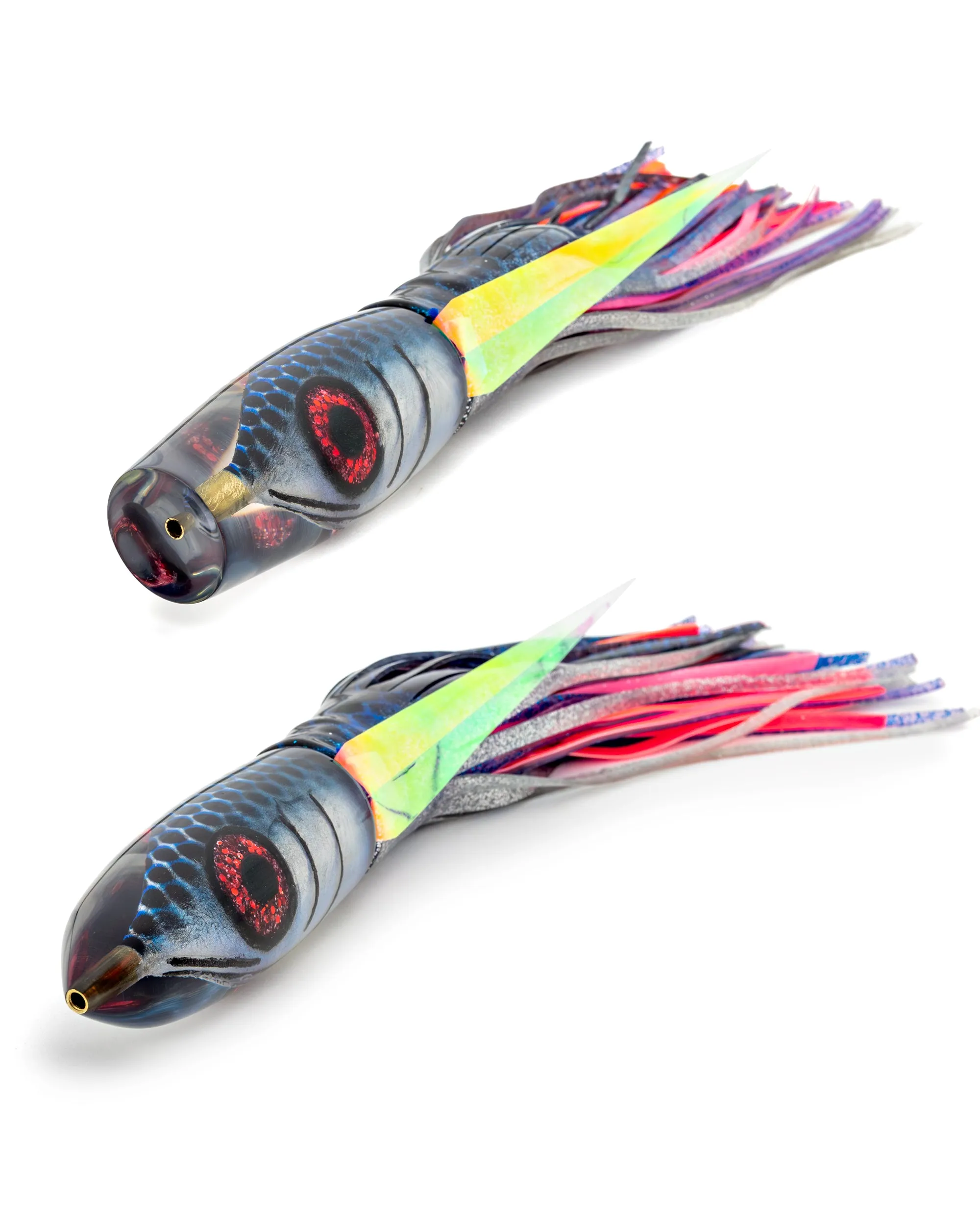 H1 Premium Series: Horned Puffer