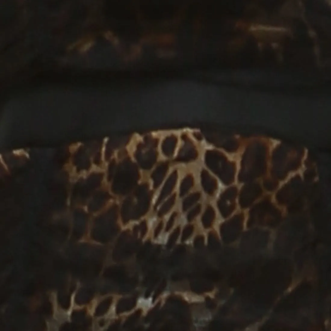 Party Cocktail Dress Strapless Lace Leopard Brown S