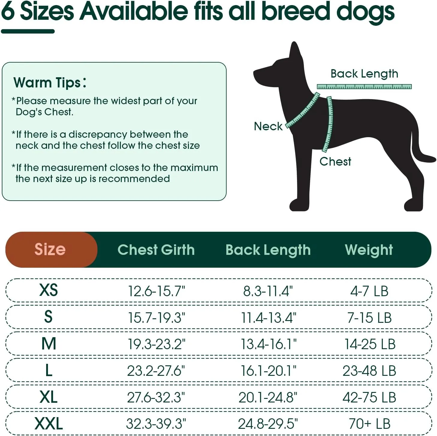 Recovery Suit for Dogs Cats After Surgery