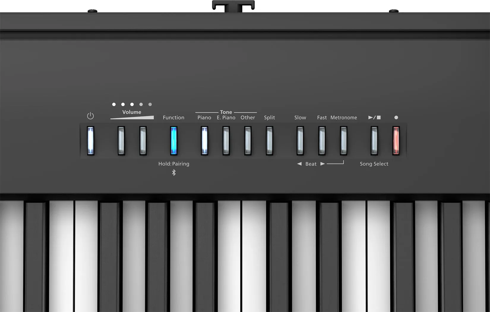 Roland FP-30X Portable Digital Piano Black Bundle